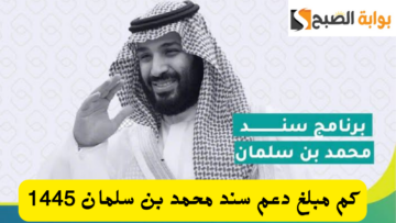 كم مبلغ دعم سند محمد بن سلمان وشروط الاستحقاق 1445 طريقة التسجيل