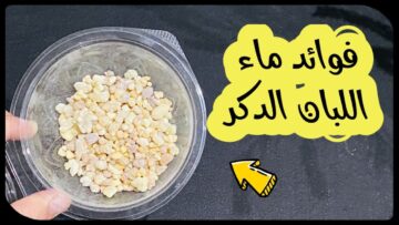 ” مش بس للتسلية” أهم فوائد لبان الدكر الصحية وفوائده للبشرة