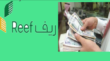 متى ينزل دعم ريف للدفعة الجديدة؟ طريقة الاستعلام وشروط الاستحقاق
