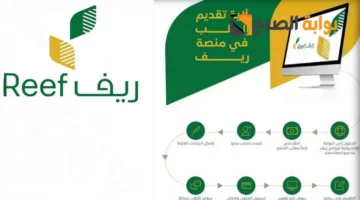 من هم مستحقي دعم ريف