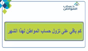 العد التنازلي.. موعد نزول حساب المواطن لهذا الشهر نوفمبر 2023 الدفعة 72 وكيفية تقديم اعتراض دفعات