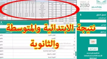 نتائج نظام نور برقم الهوية 1445