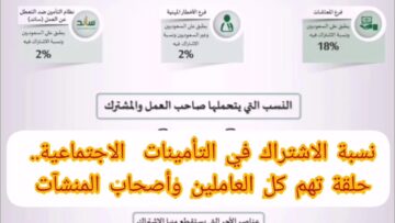 “احسب حساباتك صح”.. نسبة الخصم في التأمينات للمشترك وصاحب العمل وكيفية خصم المعاش