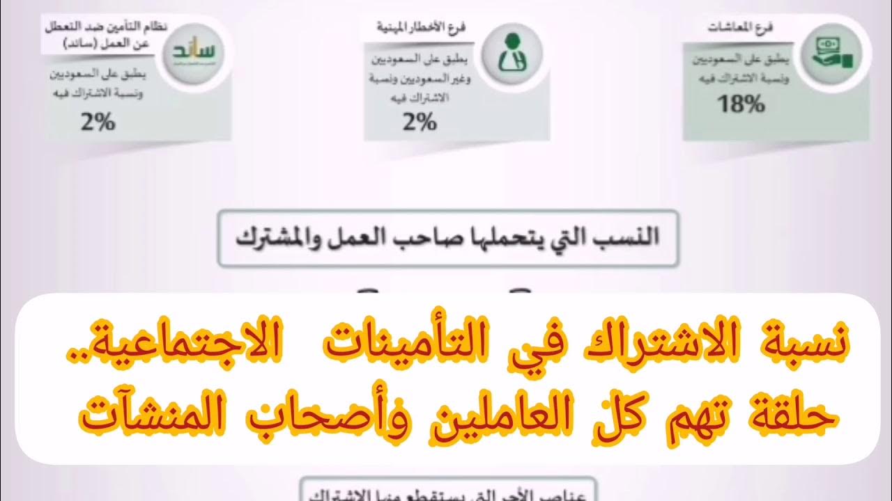 “احسب حساباتك صح”.. نسبة الخصم في التأمينات للمشترك وصاحب العمل وكيفية خصم المعاش