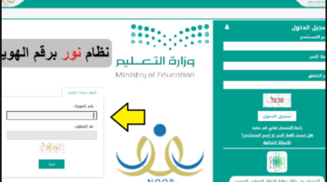 نظام نور تطبيق توكلنا000000000000
