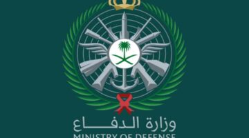 وزارة