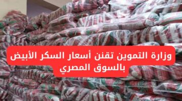 وزارة التموين تقنن أسعار السكر الأبيض بالسوق المصري
