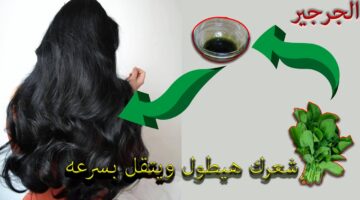 وصفات الجرجير لتطويل وفرد الشعر