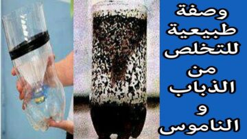 وصفة التخلص من الذباب والناموس في بيتك بكل سهولة ومن غير مبيد حشري
