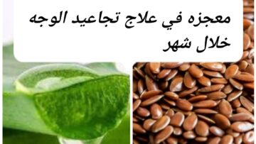 بذور الكتان الحل الطبيعي لبشرة مرطبة ونضرة وشابة بدون تجاعيد ولاخطوط ولا حبوب
