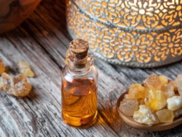 هتخسي بسرعة البرق.. مكون سحري طالع من شجرة نباتية هيخسسك النص وآمن وفعال جداً