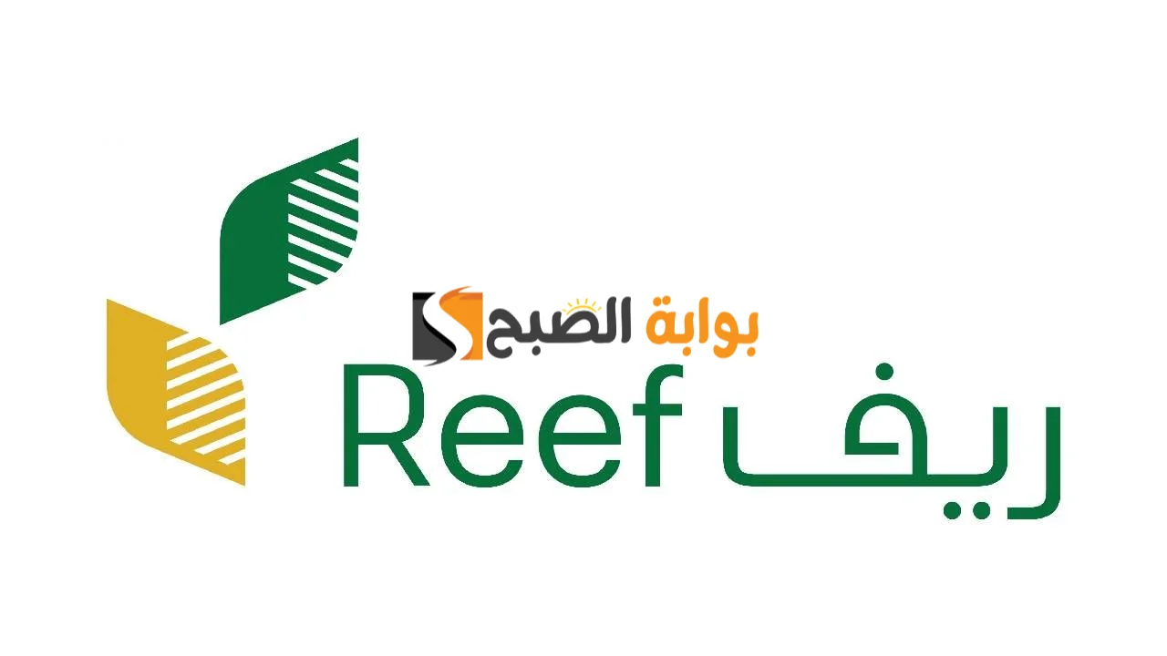 خطوات التقديم على دعم ريف وما هي شروط استحقاق الدعم؟ 5 خطوات التقديم على دعم ريف وما هي شروط استحقاق الدعم؟