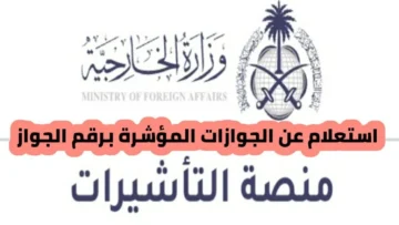 استعلام عن الجوازات المؤشرة برقم الجواز 2024 .. الرابط والخطوات
