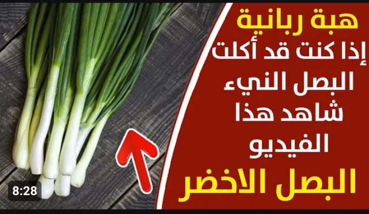 طلع مجرم فوائد.. البصل الأخضر يشفى من أمراض لا يتوقعها .. تناوله ومش هتندم بسبب العظمه اللي بيعملها
