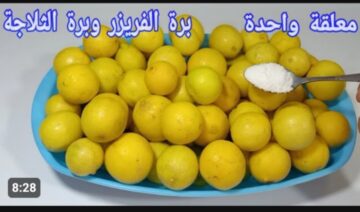 هيقعد سنين ومش هيحصل في شئ .. أفضل طريق لتخزين الليمون دون تغيير في طعمها ولونها بأسرار التجار فكرة عبقرية