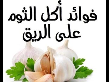 فوائد تناول الثوم على الريق وصفة جبارة للتخلص من الكثير من الأمراض