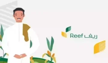 ما هي شروط دعم ريف؟ وطريقة التسجيل في البرنامج خطوة بخطوة