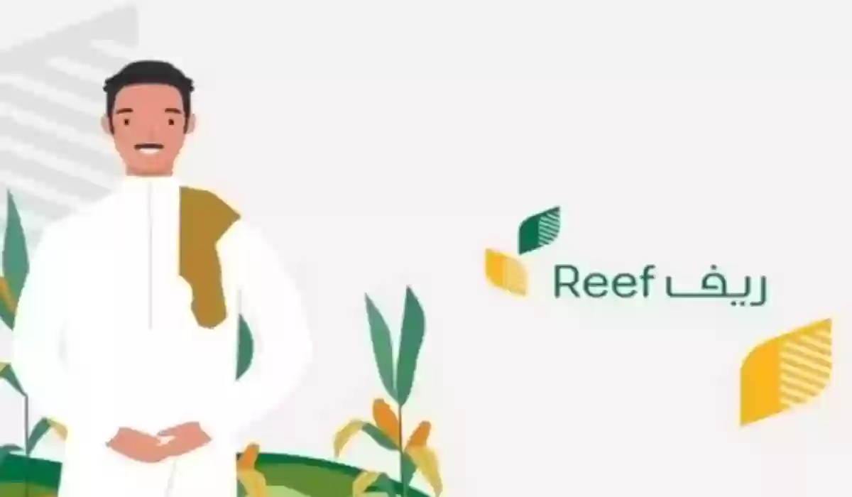 ما هي شروط دعم ريف؟ وطريقة التسجيل في البرنامج خطوة بخطوة