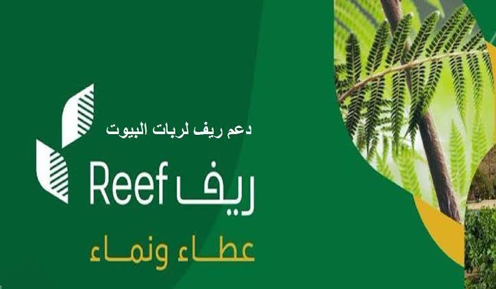شروط وطريقة التسجيل في دعم ريف 2024 reef.gov.sa لربات البيوت والمتقاعدين