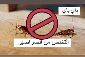 بمكون واحد متوفر في كل بيت..اتخلصي من الصراصير بلا عودة