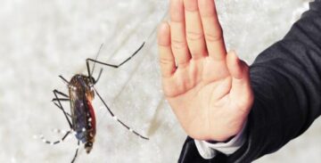 وداعًا للذباب والناموس بطرق منزلية مختلفة وغير مكلفة