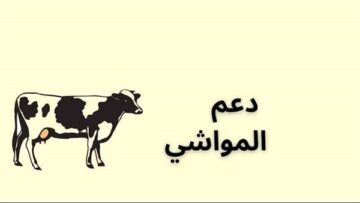 ما خطوات تحديث البيانات في برنامج دعم المواشي والشروط المطلوبة للحصول علي الدعم؟