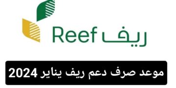 موعد صرف دعم ريف لشهر يناير 2024 وخطوات الاستعلام عنه
