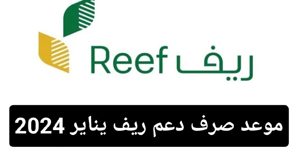 موعد صرف دعم ريف لشهر يناير 2024 وخطوات الاستعلام عنه 5 موعد صرف دعم ريف لشهر يناير 2024 وخطوات الاستعلام عنه