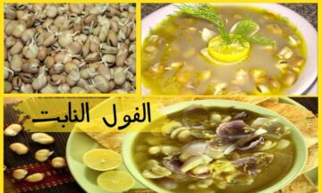 «بروتين الغلابة!».. 5 فوائد ستجعلك تغير فكرتك عن “الفول النابت”.. وهذه الـ 3 فئات ممنوعة من تناوله! 