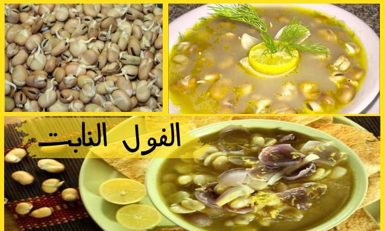 «بروتين الغلابة!».. 5 فوائد ستجعلك تغير فكرتك عن "الفول النابت".. وهذه الـ 3 فئات ممنوعة من تناوله! 7 «بروتين الغلابة!».. 5 فوائد ستجعلك تغير فكرتك عن “الفول النابت”.. وهذه الـ 3 فئات ممنوعة من تناوله!