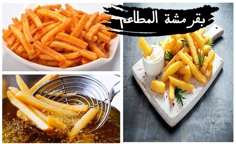 "جربيها ومش هتندمي".. بطاطس المطاعم المقلية المقرمشة بتتبيلة لا تقاوم.. مش هتشتريها من برة تاني! 4 “جربيها ومش هتندمي”.. بطاطس المطاعم المقلية المقرمشة بتتبيلة لا تقاوم.. مش هتشتريها من برة تاني!