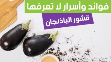 “ياريتني عرفتها من زمان”.. كنز أغلى من الياقوت في قشور الباذنجان لن يجعلك تتخلص منه من الآن فصاعدا.. تعرف عليه الآن!!