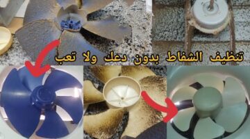 IMG 20231207 224335