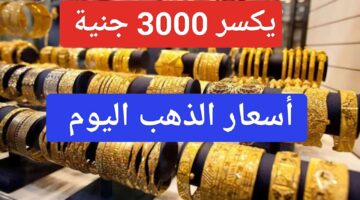 IMG ٢٠٢٣١٢٠٢ ٠٢٤٣٠٨