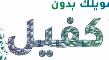 IMG ٢٠٢٣١٢٠٤ ١٨١٣٢٩ 1200 x 800 pixel