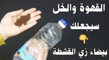 IMG ٢٠٢٣١٢٠٥ ١٧٥٢١٣ 1