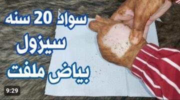 IMG ٢٠٢٣١٢٠٦ ٠٤٣٠٢٢