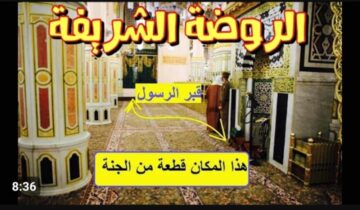 كيفية استخراج تصريح دخول الروضة الشريفة للصلاة  عبر نسك