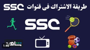 IMG ٢٠٢٣١٢٠٦ ٠٤٣٢٤٥ 2