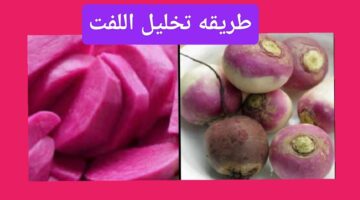 IMG ٢٠٢٣١٢١٠ ٠٧٣١٤٥