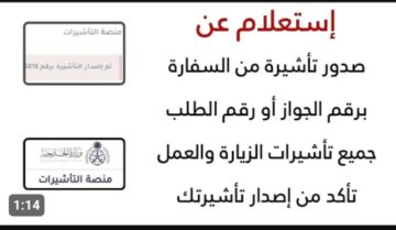 كيفية الاستعلام عن تأشيرة برقم الطلب .. الخارجية توضح التفاصيل
