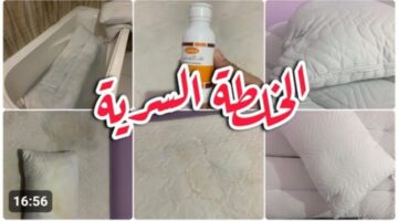 IMG ٢٠٢٣١٢١١ ٢٣٢٥٥٢