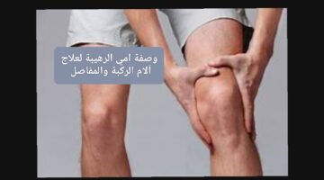 IMG ٢٠٢٣١٢١٣ ٠٧١٢١١