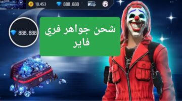 IMG ٢٠٢٣١٢١٣ ١٨٣٠٥٥