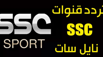 IMG ٢٠٢٣١٢١٨ ١٢١٤٤٩
