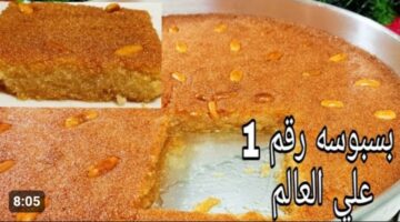 IMG ٢٠٢٣١٢٢٠ ٠٥١٣٠٤