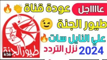 أغاني دينية وكرتون ليل نهار..  تردد قناة طيور بيبي 2023 الجديد على نايل وعرب سات نزلها على التلفزيون الآن