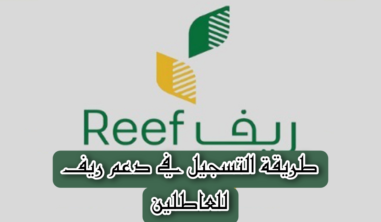 ما هي طريقة التسجيل في دعم ريف للعاطلين.. "وزارة البيئة والمياه والزراعة" توضح بالخطوات 5 ما هي طريقة التسجيل في دعم ريف للعاطلين.. “وزارة البيئة والمياه والزراعة” توضح بالخطوات