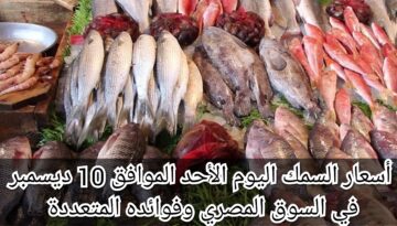 أسعار السمك اليوم الأحد الموافق 10 ديسمبر في السوق المصري وفوائده المتعددة