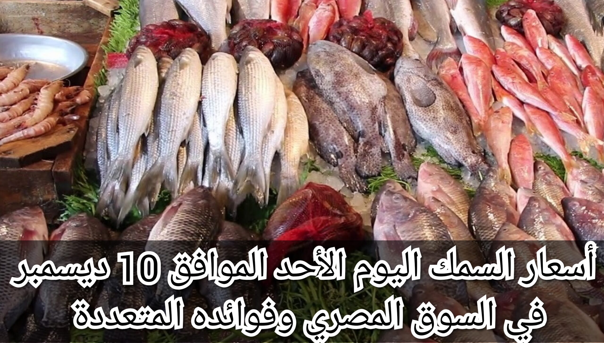 أسعار السمك اليوم الأحد الموافق 10 ديسمبر في السوق المصري وفوائده المتعددة 5 أسعار السمك اليوم الأحد الموافق 10 ديسمبر في السوق المصري وفوائده المتعددة